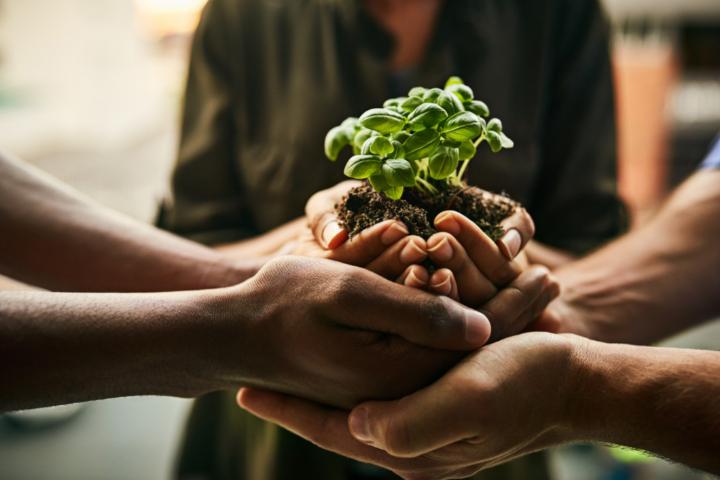 O que são fornecedores sustentáveis e como identificá-los